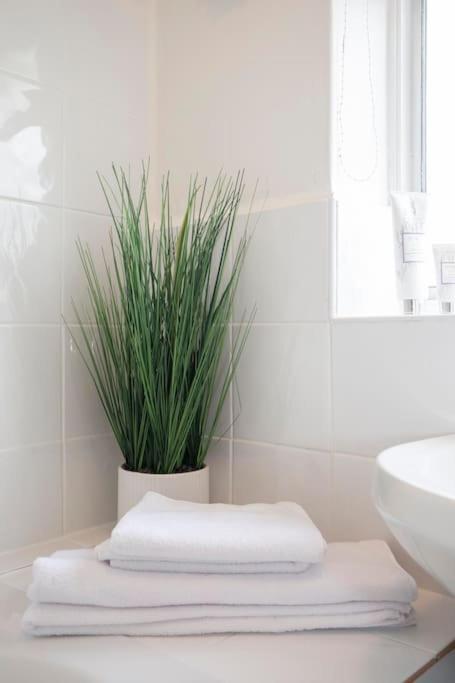 3 Bed House/Garden/Wi-Fi/Parking/Central Location Villa Guildford Exteriör bild